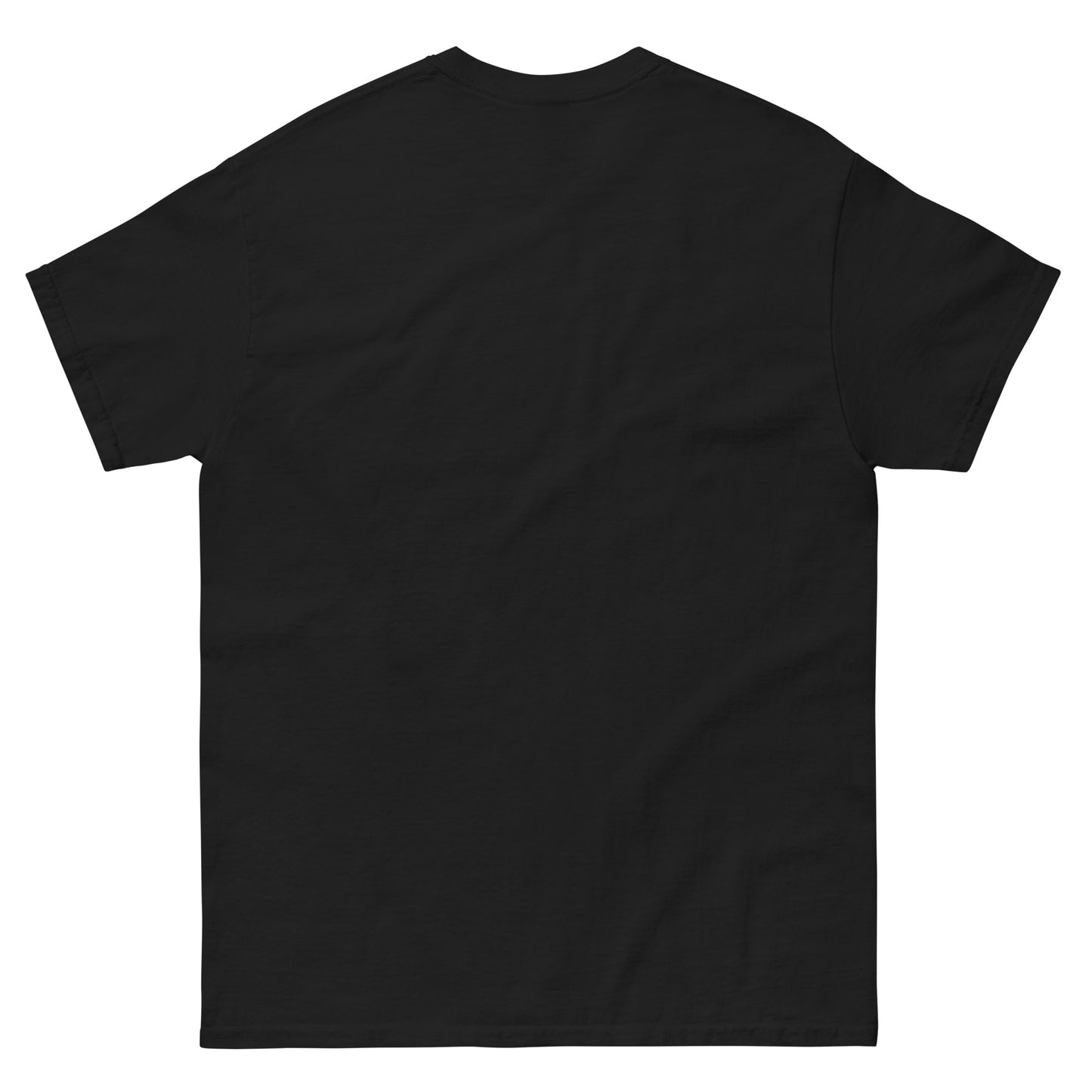 Gitcoin Devcon 2024 - Unisex classic tee